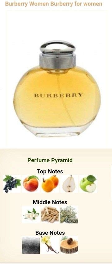 burberry classic fragrance notes